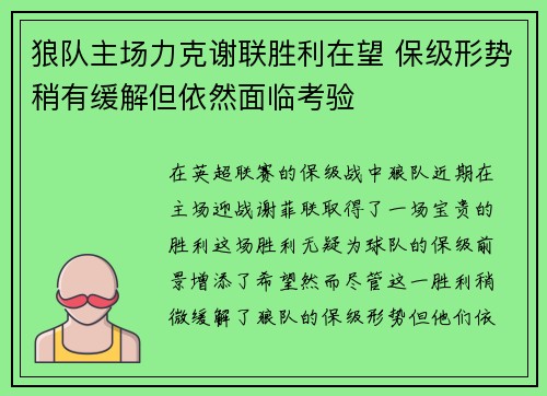 狼队主场力克谢联胜利在望 保级形势稍有缓解但依然面临考验