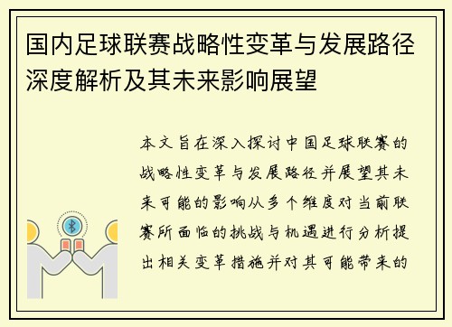 国内足球联赛战略性变革与发展路径深度解析及其未来影响展望
