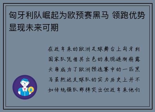 匈牙利队崛起为欧预赛黑马 领跑优势显现未来可期